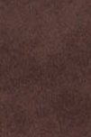 swatch_Chocolate 4ccccees plia amber platform shearling clog