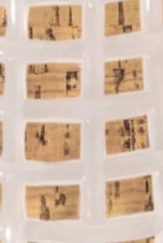 swatch_Clear bibi lou jelly slide