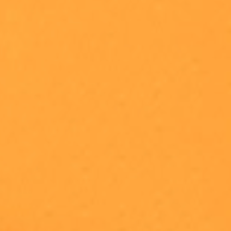 swatch_Clementine gola firefly sneakers