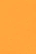 swatch_Clementine gola firefly sneakers