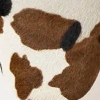 swatch_Cocoa Hair calf