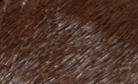 swatch_Coffee Haircalf nanku l'idea shearling lined mule