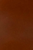 swatch_Cognac Leather fay ankle boots