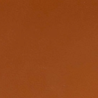 swatch_Cognac Vegan Leather coconuts porter kitten heel sandal
