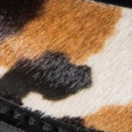 swatch_Cow Haircalf fur lined clog shoes