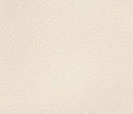 swatch_Cream remi/reid ella mini tote