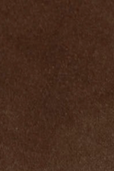 swatch_Dark Brown Suede virona water resistant boot