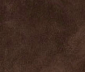 swatch_Dark Brown Suede dolce vita jodero mule