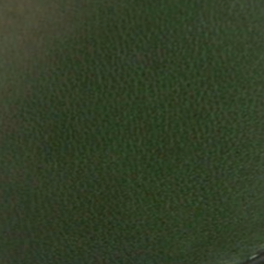 swatch_Dark Green Leather loafer