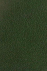 swatch_Dark Green Leather loafer