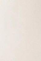 swatch_Ecru Leather l'idea classic penny loafer