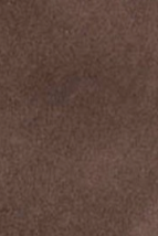 swatch_Espresso Suede tony bianco estelle heeled boot