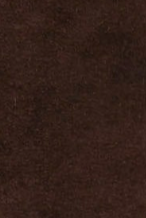 swatch_Espresso Suede tony bianco glacier ruched mule loafer