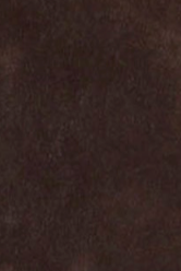 swatch_Espresso Suede evysa tall boot shoes