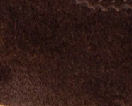 swatch_Espresso phoenix sneaker