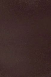 swatch_Espresso capacity ankle boot ankle boots