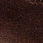 swatch_Espresso fez sneaker shoes oncept