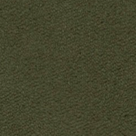 swatch_Fern zuri sweatshirt