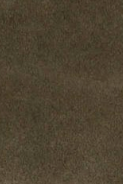 swatch_Forest Suede l'idea center zip boot