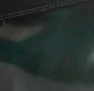 swatch_Forest Leather lug sole loafer