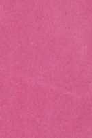 swatch_Fuchsia Leather tony bianco crush pump