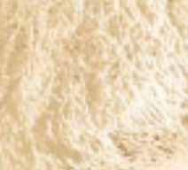 swatch_Gold Leather dress sandal