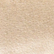 swatch_Gold Seychelles perfect wish thong sandal
