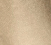 swatch_Gold charlotte metallic jeans