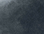 swatch_Grey velvet mary jane flabelus