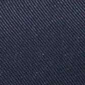 swatch_indigo casey platform sneaker shoes