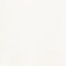 swatch_Ivory favorite daughter whitney top