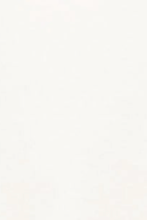 swatch_Ivory favorite daughter whitney top