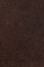 swatch_Java Suede meryl tall boots