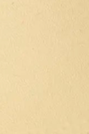 swatch_lemon arch support flip flop flat sandals