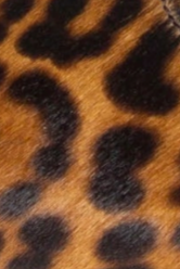 swatch_Leopard haircalf elior flat