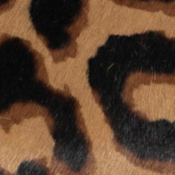 swatch_Leopard Haircalf slingback pump