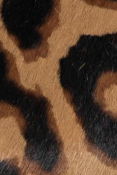 swatch_Leopard Haircalf slingback pump