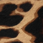 swatch_Leopard Haircalf penny loafer