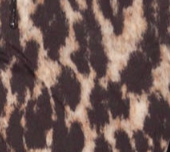 swatch_Leopard tabita jacket insert