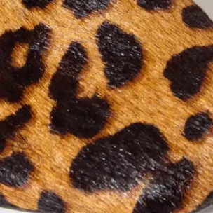 swatch_animal print arissa ballet flat ballet flats