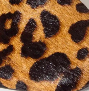 swatch_animal print arissa ballet flat ballet flats