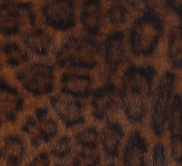 swatch_Leopard margot faux fur jacket coats
