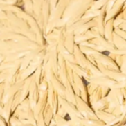 swatch_neutrals diya macrame slide flat shoes