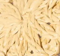 swatch_neutrals diya macrame slide flat shoes