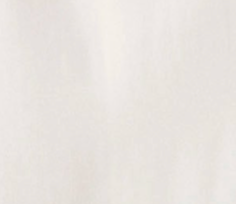 swatch_Light Oat deja vu blouse