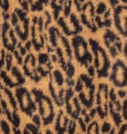 swatch_Lynx hometown jacket coats