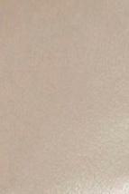 swatch_Misty Leather nene platform ankle boots