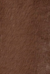 swatch_Mocha faux fur zipper vest