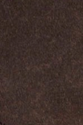 swatch_Mocha/Pollen elan sneaker gola