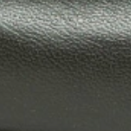 swatch_Moss Leather l'idea pointed toe leather flat
